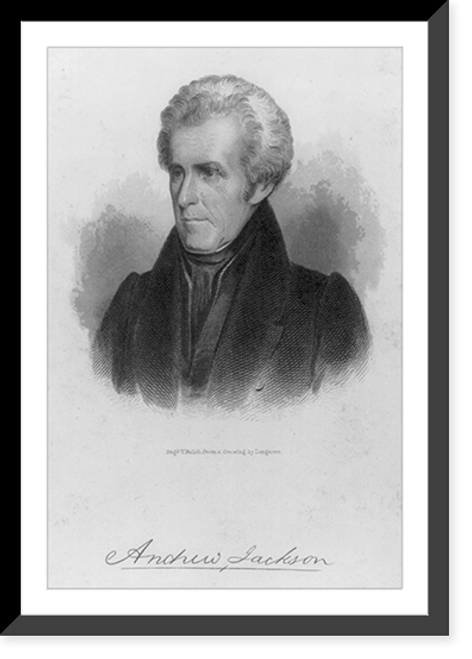 Historic Framed Print, [Andrew Jackson, bust portrait, facing left],  17-7/8" x 21-7/8"