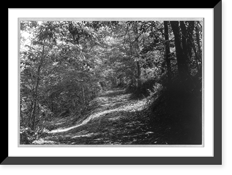 Four views in western North Carolina: road to Mt. Meadow's Inn, Historic Reproduction