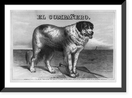 Historic Framed Print, El Compa&ntilde;ero,  17-7/8" x 21-7/8"