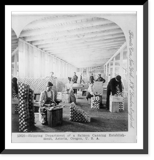 Shipping department of a salmon canning establishment, Astoria, Oregon, Vintage Wall Art