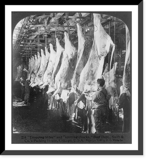 Chicago - Meat Packing Industry: dropping hides and splitting chucks, beef dept., Swift & Co.'s Packing House, Antique Poster