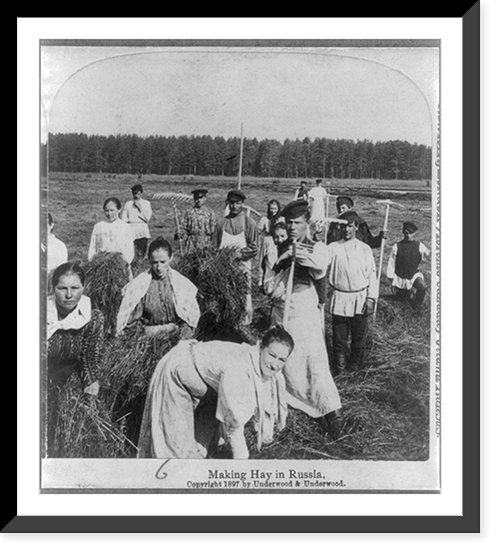 Historic Framed Print, Group of men and women making hay in Russia,  17-7/8" x 21-7/8"