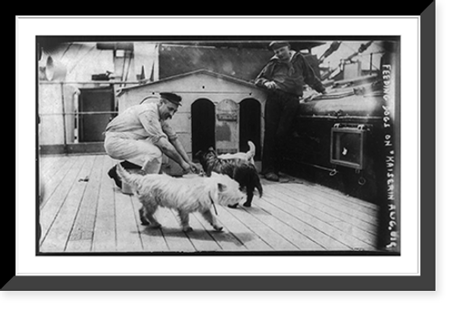 Historic Framed Print, Feeding dogs on KAISERIN AUGUSTE VICTORIA, June 22, 1910,  17-7/8" x 21-7/8"