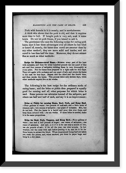 The New Housekeeper's Manual, 1873, by Catherine E. Beecher and Harriet Beecher Stowe, p. 443, page of recipes Classic, Vintage Wall Art