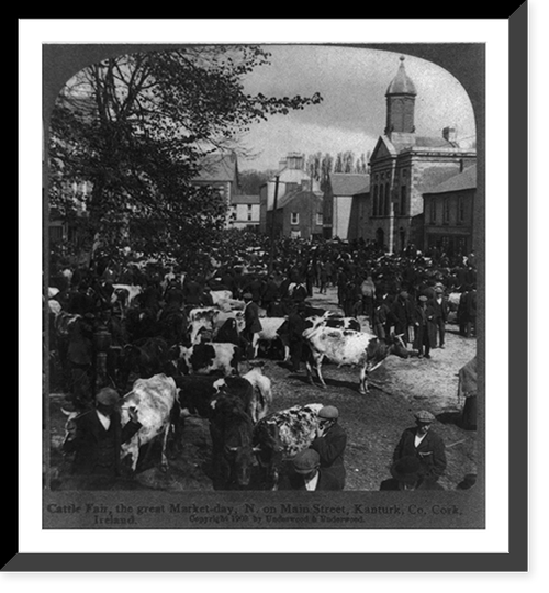 Cattle Fair, the great market day, N. on Main Street, Kanturk, County Cork, Ireland, Vintage Print