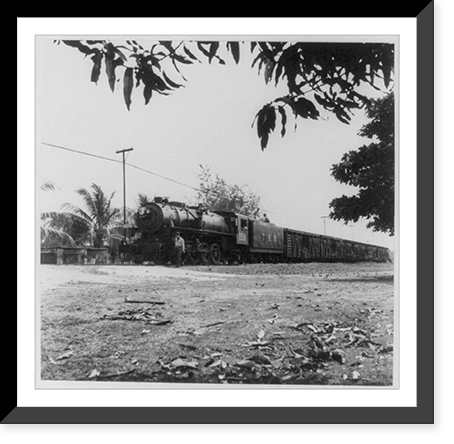 United Fruit Co. activities, 1948: Tela RR Co. train #159 ready to leave San Juan Junction, Honduras, with cargo of fruit, Vintage Wall Art