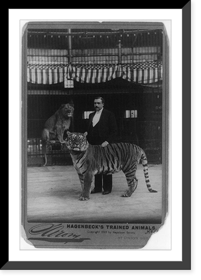 Hagenbeck's trained animals, Vintage Print