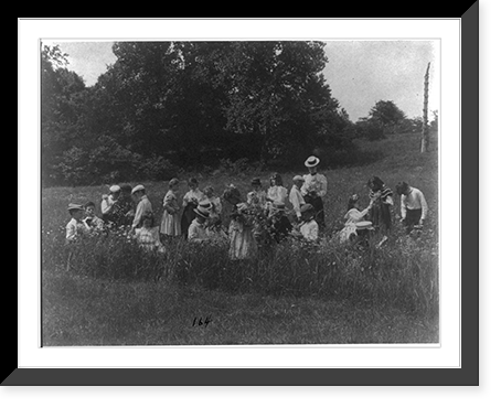 Historic Framed Print, [School children examining wild flowers on field trip - 1st Division, Washington, D.C., public school],  17-7/8" x 21-7/8"
