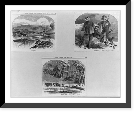 Three illustrations: 1. Timber raft; 2. Lumbermen; 3. Hauling logs by oxen, Antique Poster