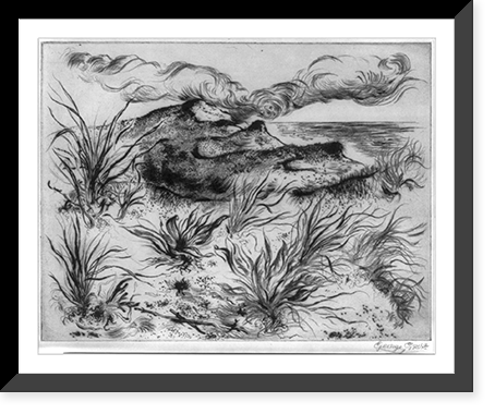 Untitled landscape. Desolate beach scene, Cape Cod, Mass, Antique Print
