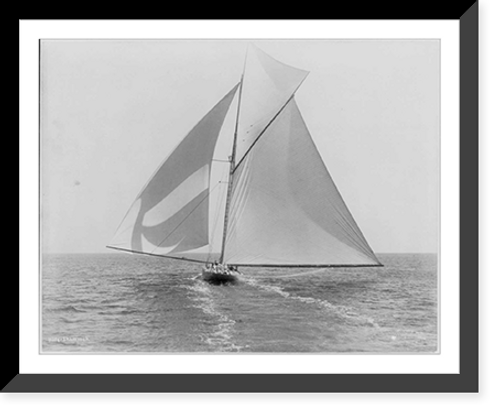 Historic Framed Print, [Sailboats sailing]: SHAMROCK,  17-7/8" x 21-7/8"