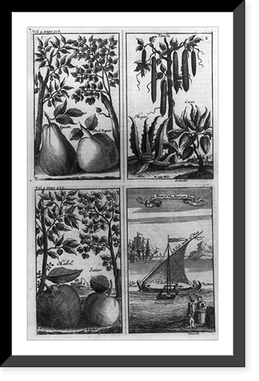 Philippine Islands fruits and A Boat of the Marian (Marianas) Islands"" Classic, Vintage Wall Art