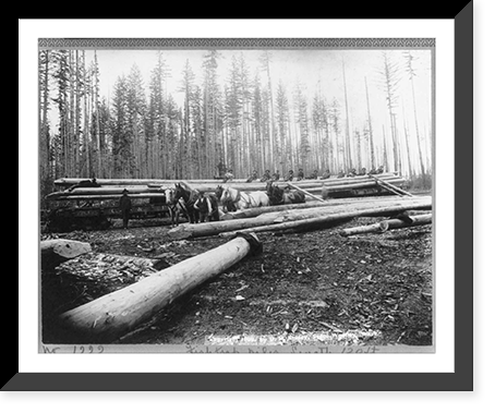 Fish trap piles, length 120 ft. Classic, Antique Wall Art