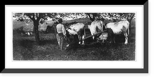 Historic Framed Print, Ploughing Team,  17-7/8" x 21-7/8"