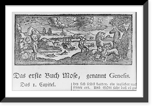 Historic Framed Print, [Adam with birds, beasts & fish],  17-7/8" x 21-7/8"