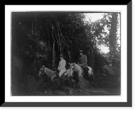 Panama during time of Panama Canal construction: 2 men on horseback by wall overgrown with vines, Antique Poster