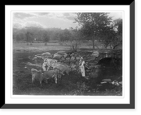 Historic Framed Print, Feeding the calves.Mrs. Mabel Osgood Wright.,  17-7/8" x 21-7/8"