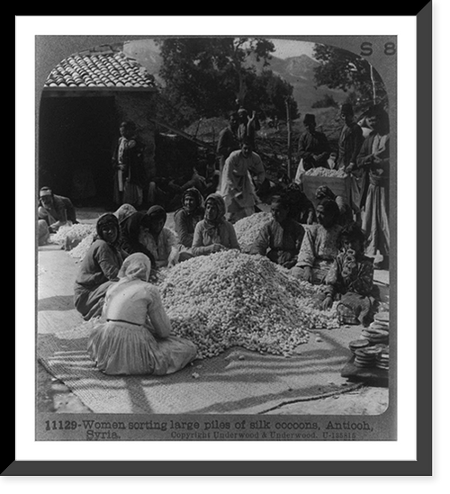 Historic Framed Print, Women sorting large piles of silk cocoons, Antioch, Syria [i.e., Turkey],  17-7/8" x 21-7/8"
