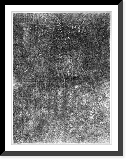 Historic Framed Print, Poplar grove - 2,  17-7/8" x 21-7/8"