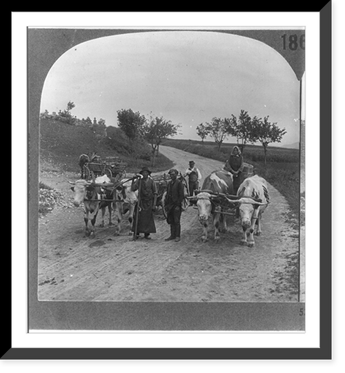 Primitive methods of transportation still prevailing in rural Hungary, Vintage Print