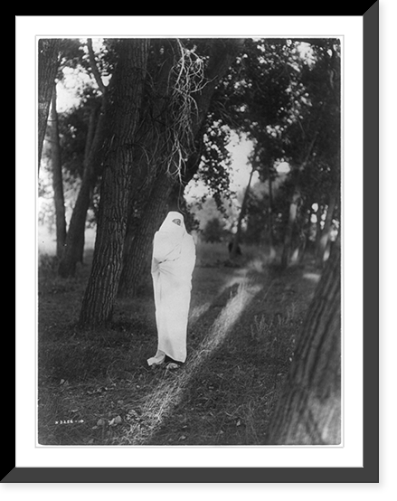 Waiting in the forest. Cheyenne Classic, Vintage Wall Art