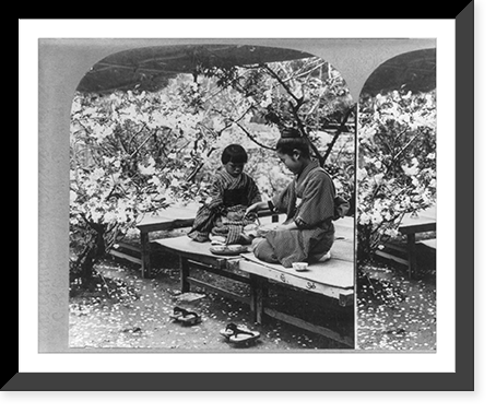 Under the cherry blossoms in the flowery kingdom, Japan, Historic Print
