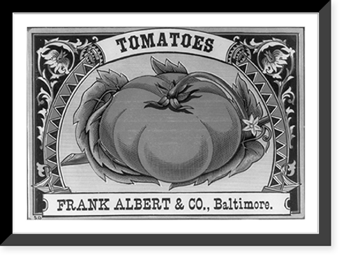 Historic Framed Print, Tomatoes - Frank Albert & Co., Baltimore,  17-7/8" x 21-7/8"