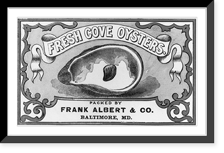 Fresh cove oysters, Frank Albert & Co., Baltimore, Vintage Print