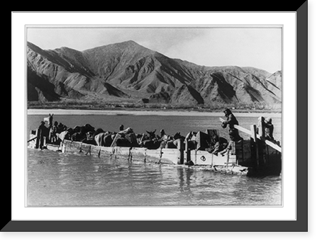 Part of the caravan crossing the Tsangpo River, Historic Reproduction