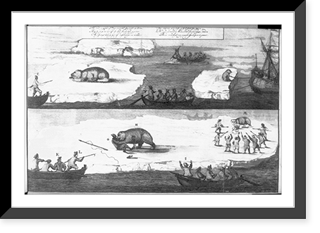 2 illustrations of men hunting polar bears, with spears, on icebergs and in water, from boats and ship - Greenland, ca. 1700 Classic, Vintage Poster