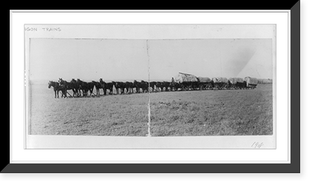 12 horses pulling 5 wagons, which are connected, Antique Poster