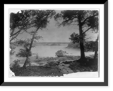 Historic Framed Print, Fog effect in the Grand Canyon of Arizona,  17-7/8" x 21-7/8"