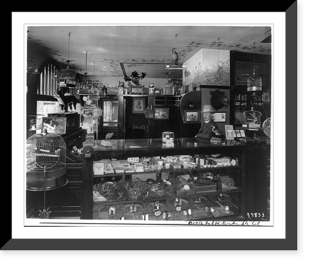 Grider's Birdland Library, Antique Poster