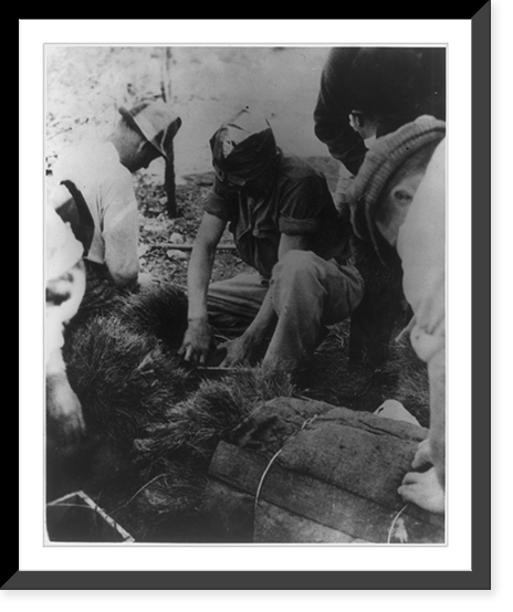 Vintage Photo Print - CCC boys filling work boxes with young trees