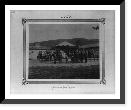 Horses of the Imperial Stud Farm, Antique Wall Art