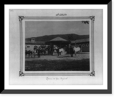 Horses of the Imperial Stud Farm - 3, Antique Poster