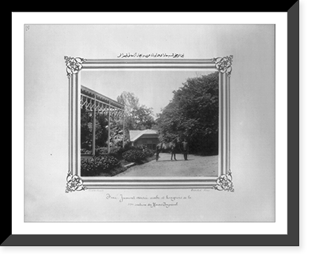 Historic Framed Print, [Tin: The huge mare of Hungarian and Arabian origin in the third section of the Imperial Stud Farm].Constantinople, Abdullah Fr&egrave;res.,  17-7/8" x 21-7/8"