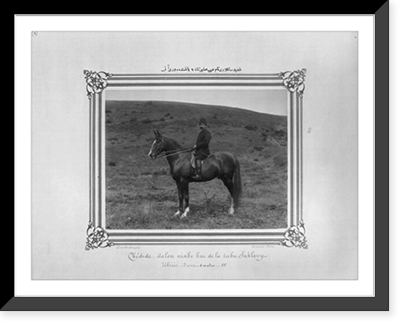 The nine year old bay horse of Arabian origin named Sedid Saklavi.Constantinople, Abdullah Fr&egrave;res, Antique Wall Art