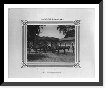 Historic Framed Print, [The Hungarian and Normandy mares of the third section of the Imperial Stud Farm].Constantinople, Abdullah Fr&egrave;res.,  17-7/8" x 21-7/8"