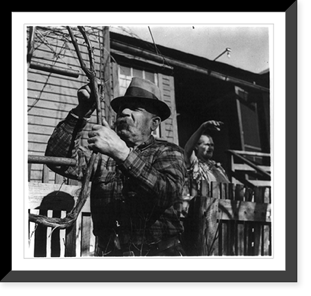 Andrew Scanicky, a coal miner, Hazleton, Pa.: Working on a grape vine; his wife? at door waving behind him, Vintage Wall Art