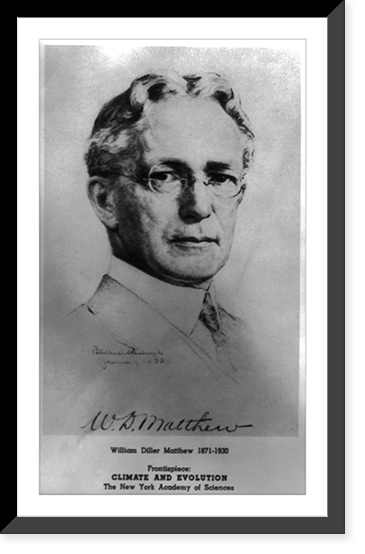 William Diller Matthew, Historic Reproduction