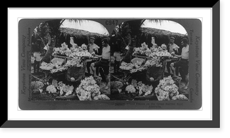 Historic Framed Print, Coral divers on the Great Barrier Reef, Australia,  17-7/8" x 21-7/8"