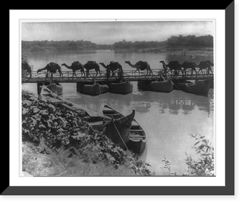 Historic Framed Print, Camel caravan crossing the Euphrates River on a pontoon bridge near Kufa, Iraq,  17-7/8" x 21-7/8"