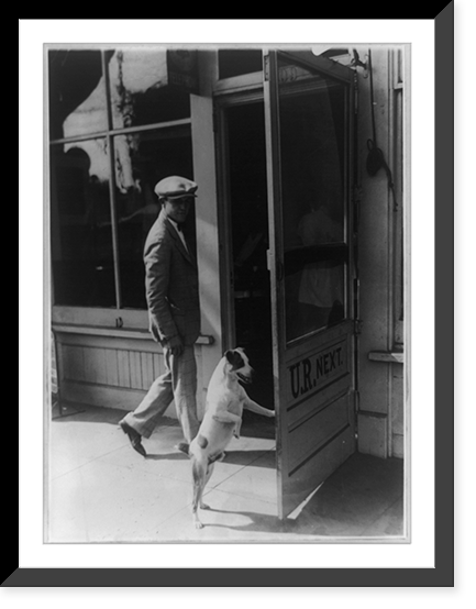 Tippy, tonsorial terrier, renders swift service to incoming patrons of shop, Historic Print