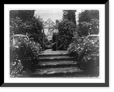Vintage Landscape - New York City - Planting Fields of William
