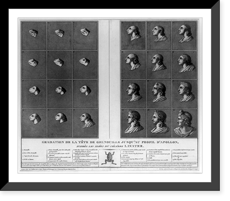 Gradation de la t?́ete de grenouille jusqu'au profil D'Apollon, d'apres les idees du celebre Lavater, Vintage Poster