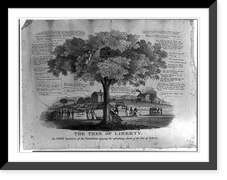 The tree of liberty. The free population of the United States enjoying the refreshing shade of the tree of liberty, Antique Wall Art