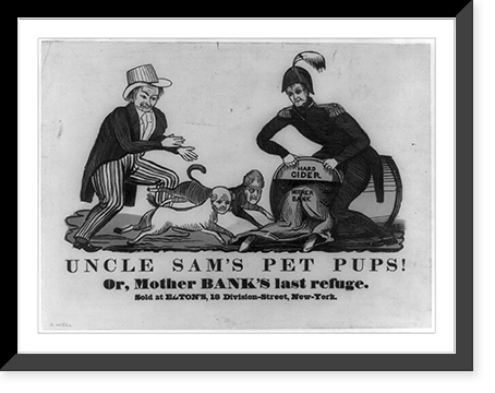 Uncle Sam's pet pups! Or, Mother Bank's last refuge, Vintage Poster