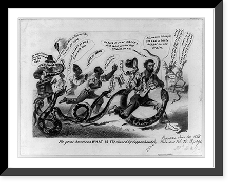 Historic Framed Print, The great American What is it? chased by Copper-heads,  17-7/8" x 21-7/8"