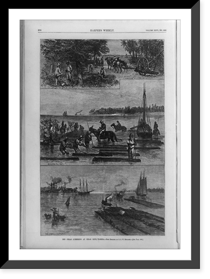 Historic Framed Print, Red cedar lumbering at Cedar Keys, Florida,  17-7/8" x 21-7/8"